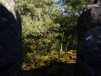 2016-10-09 Les gorges d Apremont 0073